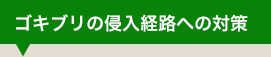 ゴキブリの侵入経路への対策